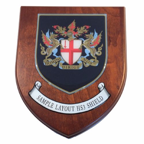 Presentation shield with shield shaped centrepiece and scroll.